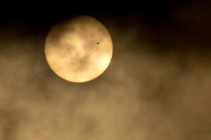 Venus in Transit and other news